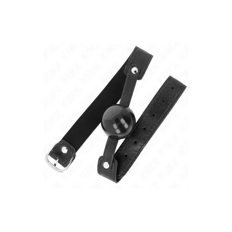 D-240869 KINK COLLAR & GAG