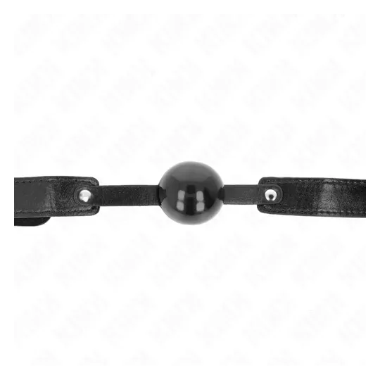 D-240869 KINK COLLAR & GAG
