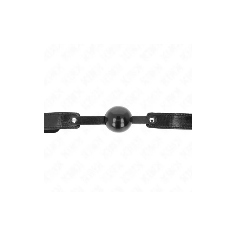 D-240869 KINK COLLAR & GAG