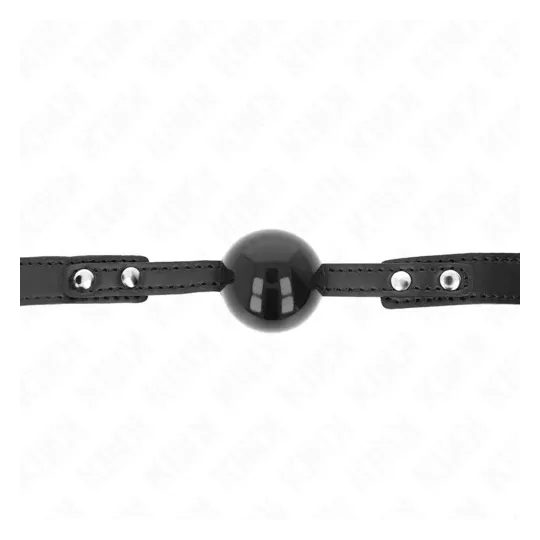 D-240870 KINK COLLAR & GAG