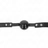 D-240870 KINK COLLAR & GAG