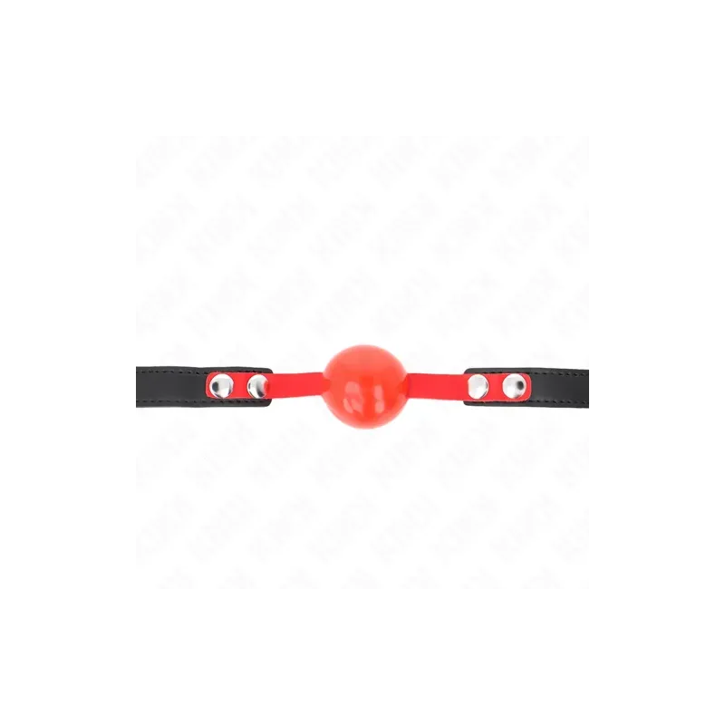 D-240871 KINK COLLAR & GAG