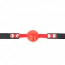D-240871 KINK COLLAR & GAG