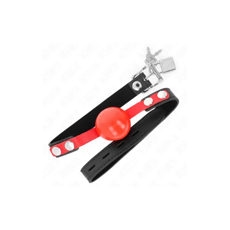 D-240871 KINK COLLAR & GAG