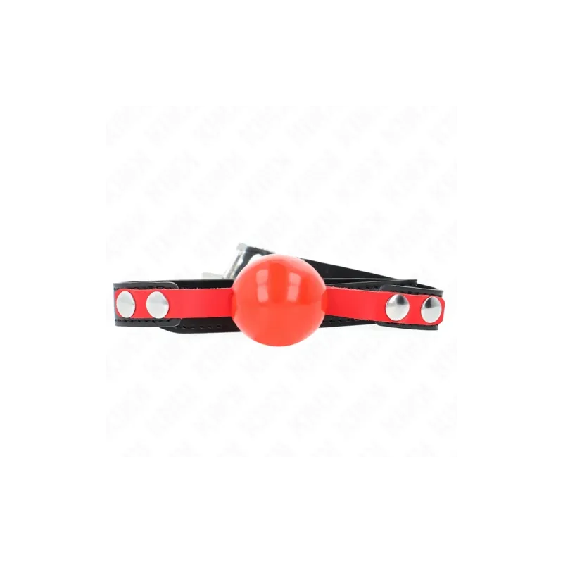 D-240871 KINK COLLAR & GAG