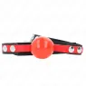 D-240871 KINK COLLAR & GAG