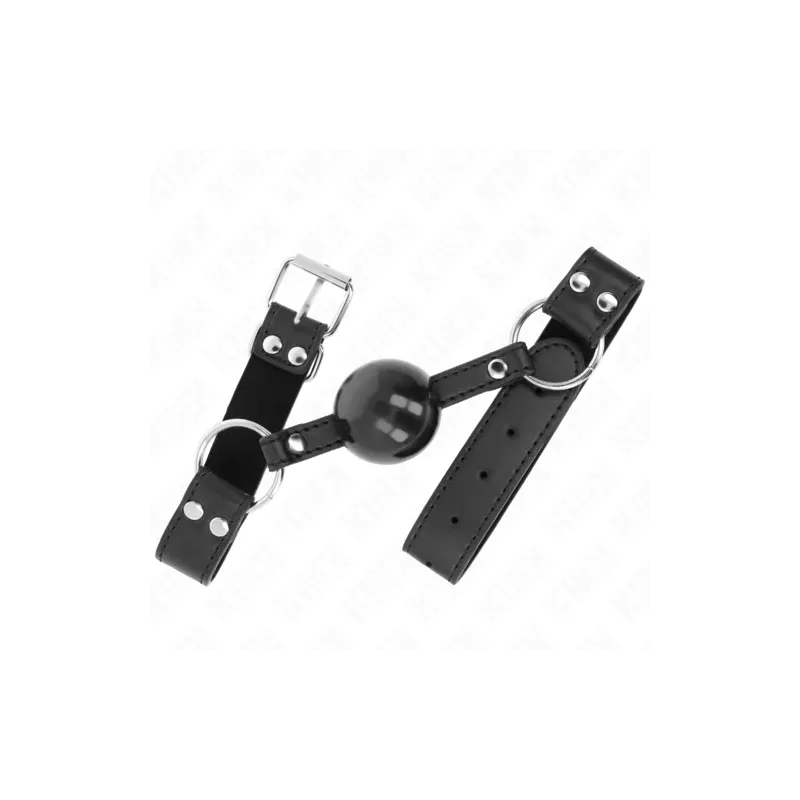 D-240858 KINK COLLAR & GAG