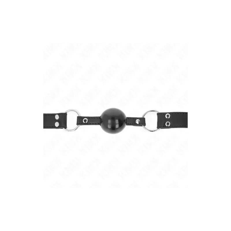 D-240858 KINK COLLAR & GAG
