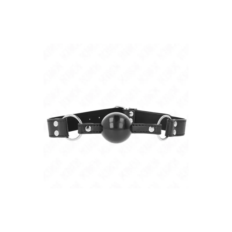 D-240858 KINK COLLAR & GAG
