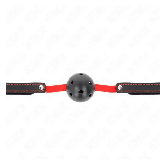 D-240846 KINK COLLAR & GAG