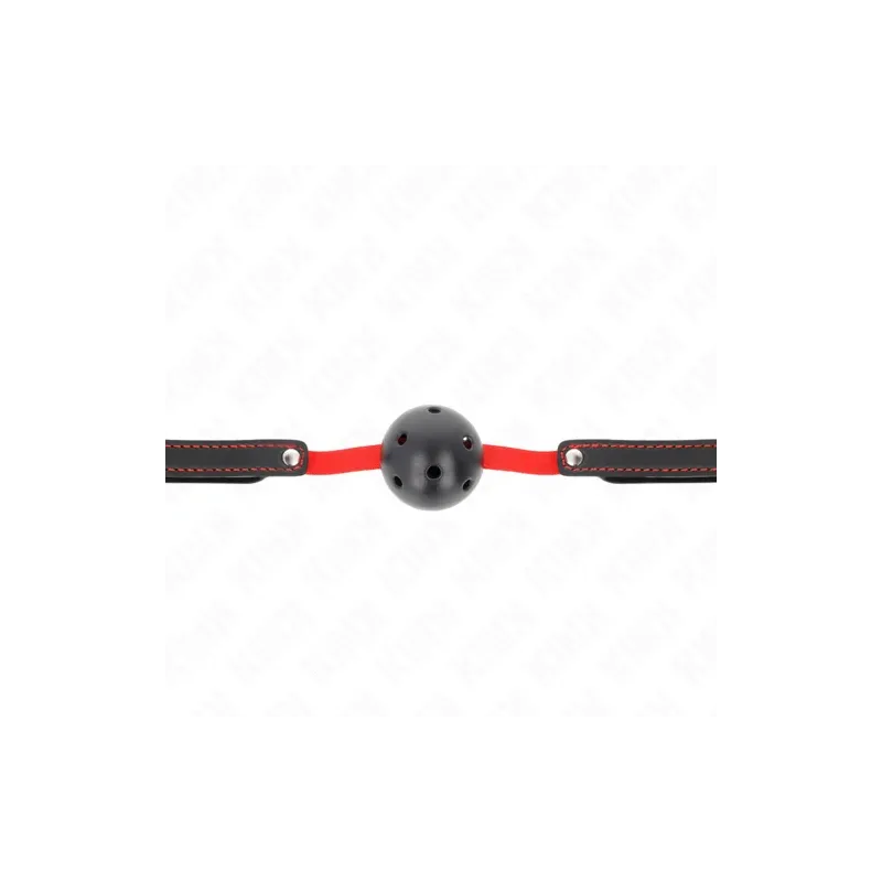 D-240846 KINK COLLAR & GAG