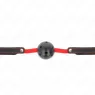 D-240846 KINK COLLAR & GAG