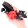 D-240840 KINK COLLAR & GAG