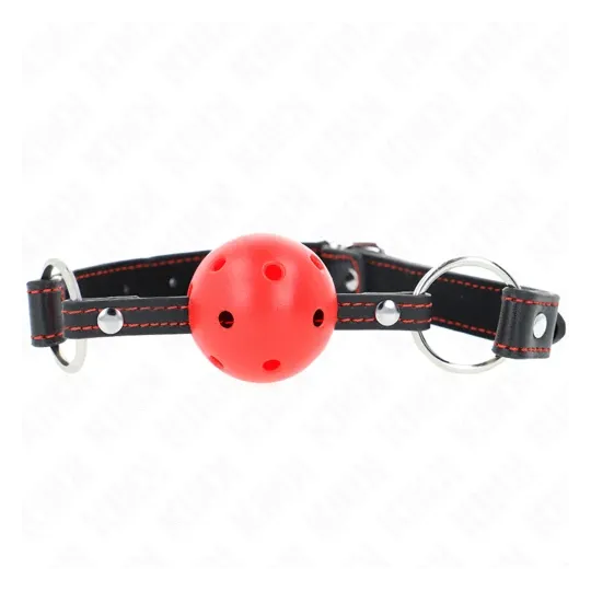 D-240840 KINK COLLAR & GAG