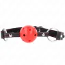D-240840 KINK COLLAR & GAG