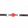 D-240840 KINK COLLAR & GAG