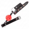 D-240840 KINK COLLAR & GAG
