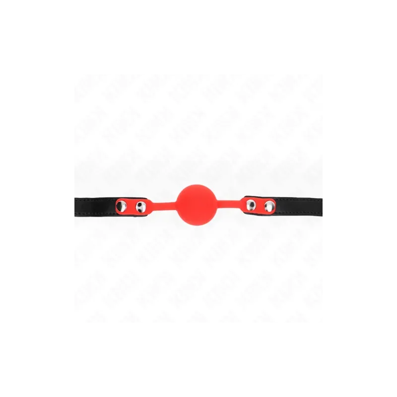 D-240878 KINK COLLAR & GAG