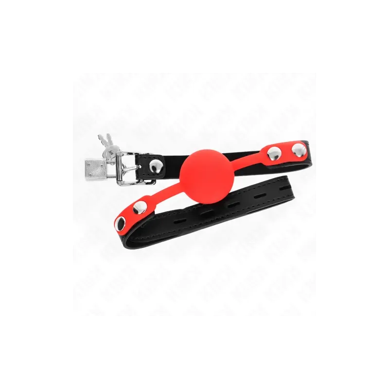 D-240878 KINK COLLAR & GAG