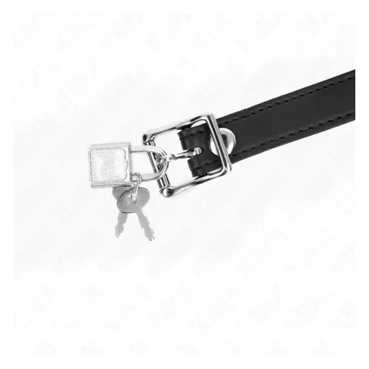 D-240878 KINK COLLAR & GAG