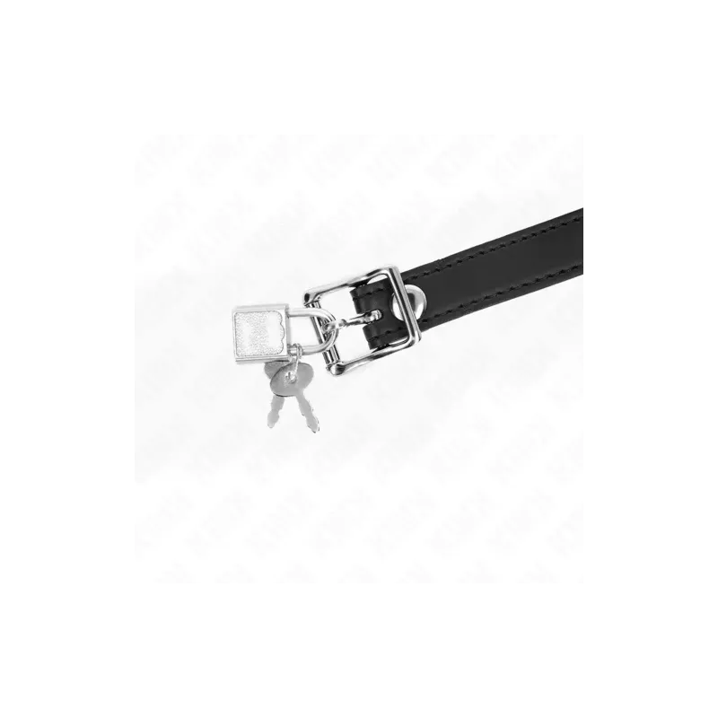 D-240878 KINK COLLAR & GAG