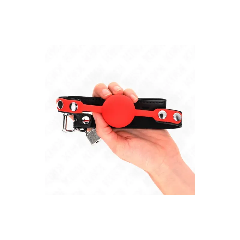 D-240878 KINK COLLAR & GAG