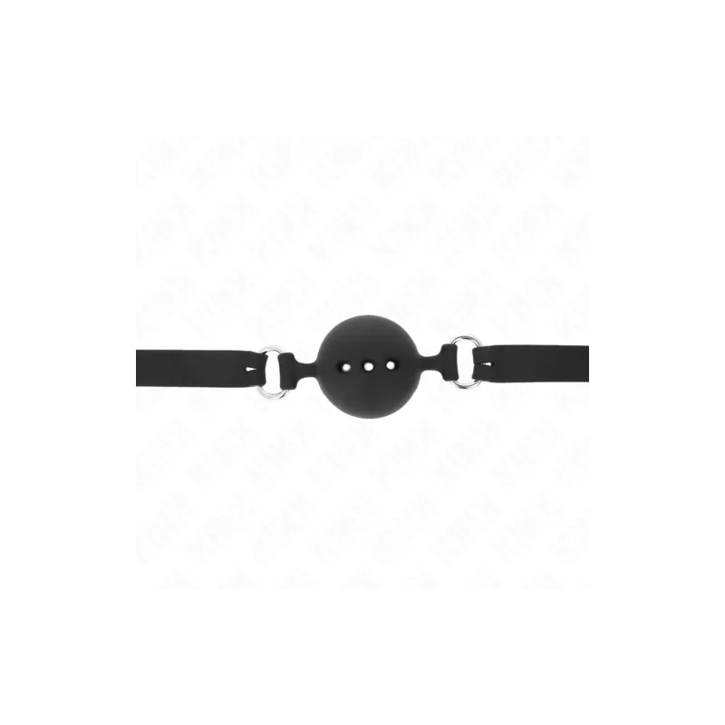 D-240815 KINK COLLAR & GAG