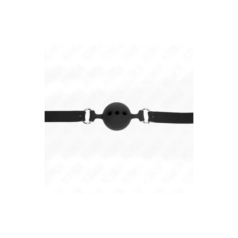 D-240816 KINK COLLAR & GAG