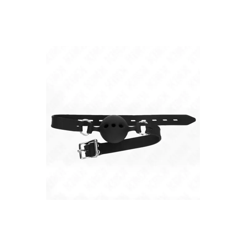 D-240816 KINK COLLAR & GAG