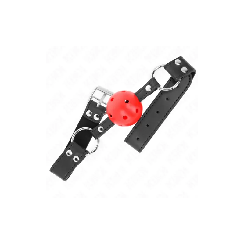 D-240854 KINK COLLAR & GAG