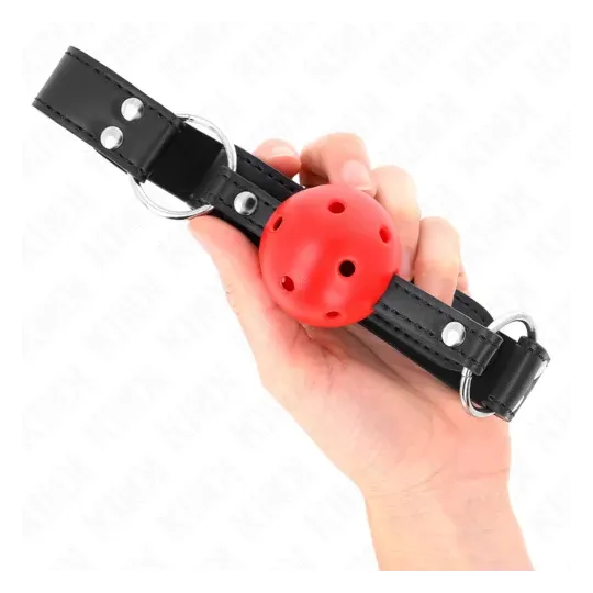D-240854 KINK COLLAR & GAG
