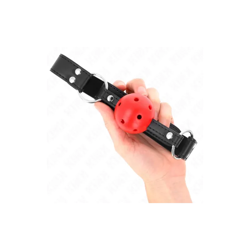 D-240854 KINK COLLAR & GAG