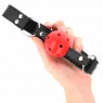 D-240854 KINK COLLAR & GAG