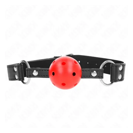 D-240854 KINK COLLAR & GAG