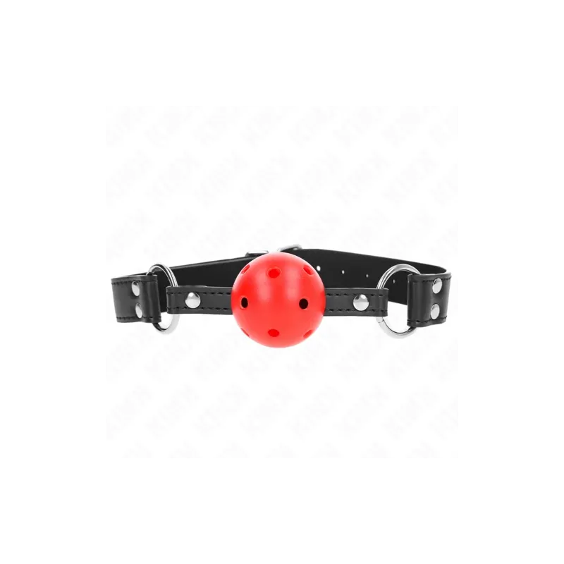 D-240854 KINK COLLAR & GAG