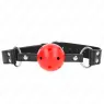 D-240854 KINK COLLAR & GAG