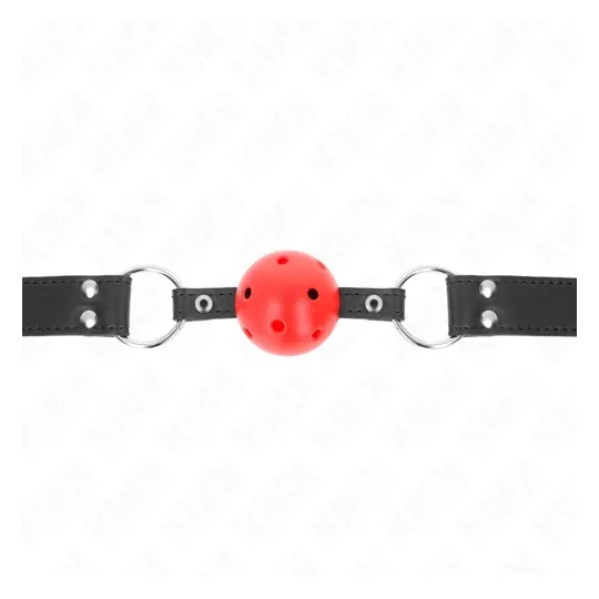 D-240854 KINK COLLAR & GAG