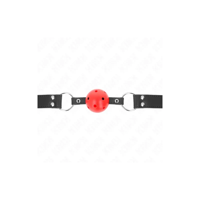 D-240854 KINK COLLAR & GAG