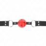 D-240854 KINK COLLAR & GAG