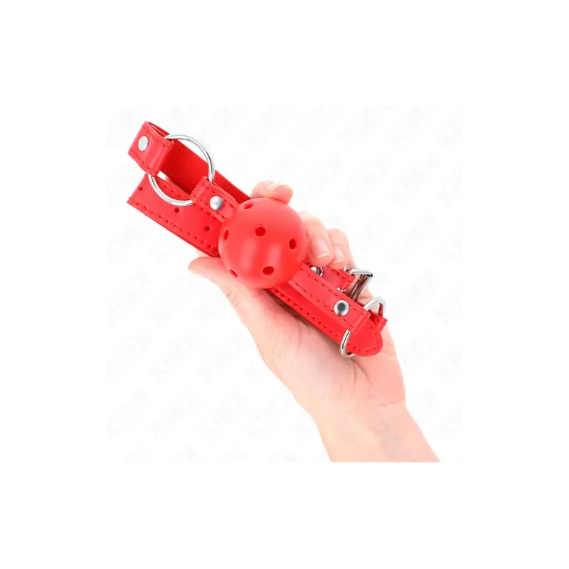 D-240855 KINK COLLAR & GAG