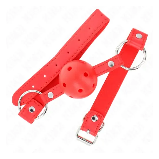 D-240855 KINK COLLAR & GAG