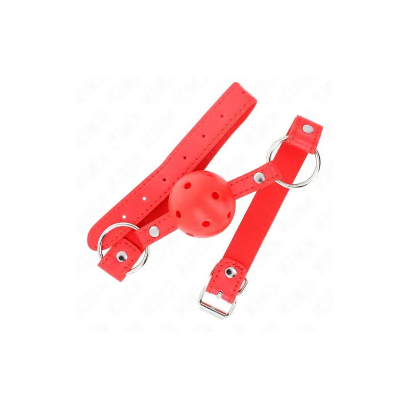 D-240855 KINK COLLAR & GAG