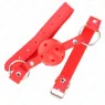 D-240855 KINK COLLAR & GAG