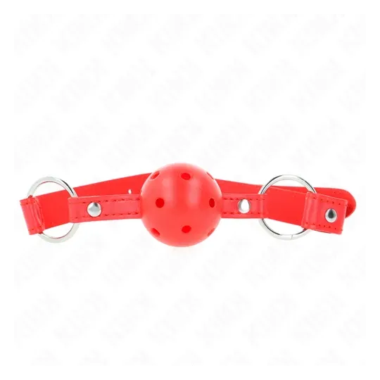 D-240855 KINK COLLAR & GAG