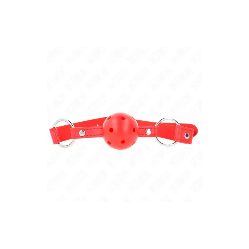 D-240855 KINK COLLAR & GAG