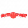D-240855 KINK COLLAR & GAG