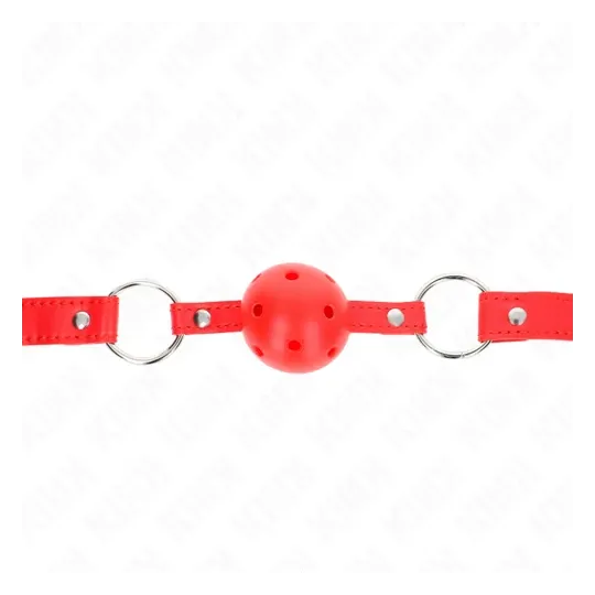D-240855 KINK COLLAR & GAG