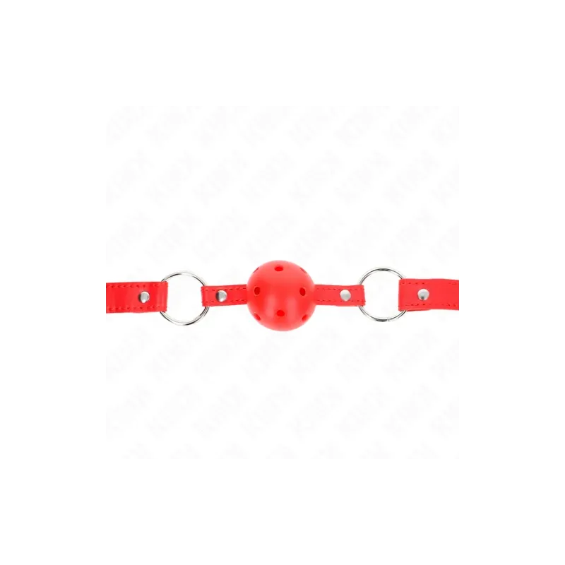 D-240855 KINK COLLAR & GAG