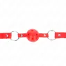 D-240855 KINK COLLAR & GAG