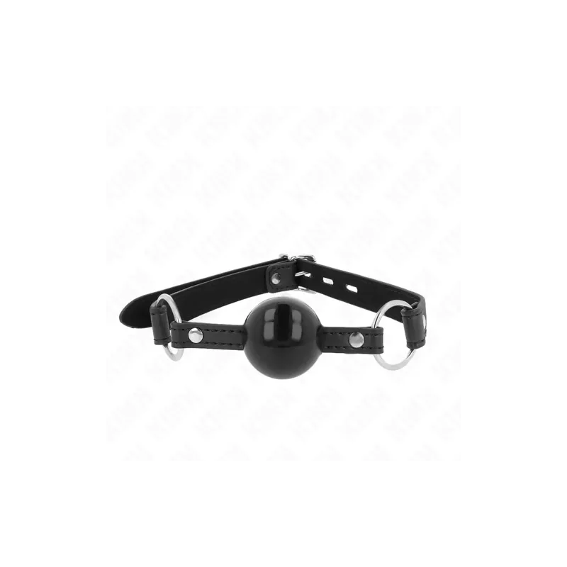 D-240862 KINK COLLAR & GAG